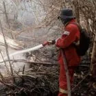 Total Rp180 Miliar, Ini Rincian Banpres Karhutla untuk Kalsel