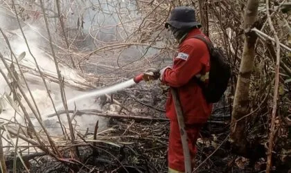 Total Rp180 Miliar, Ini Rincian Banpres Karhutla untuk Kalsel